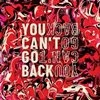 Cover Sarin - You Can`t Go Back